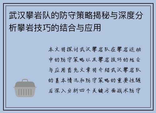 武汉攀岩队的防守策略揭秘与深度分析攀岩技巧的结合与应用