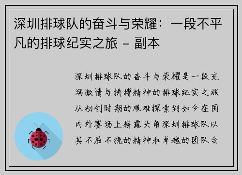 深圳排球队的奋斗与荣耀：一段不平凡的排球纪实之旅 - 副本