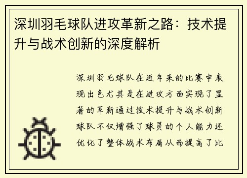 深圳羽毛球队进攻革新之路：技术提升与战术创新的深度解析